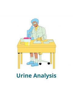  URINE ANALYSIS