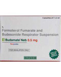 BUDAMATE NEB RESPULES 0.5MG 5 S
