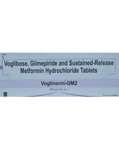 VOGLINORM GM2 TAB 15 S